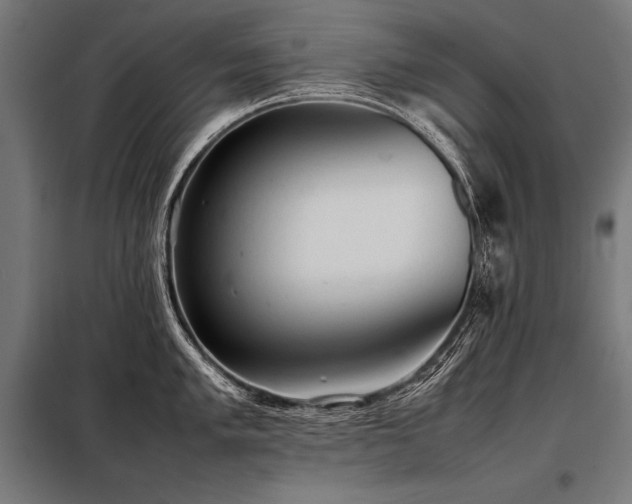 X0000098191005200804241240