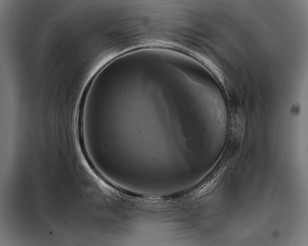 X0000098191007200804241240