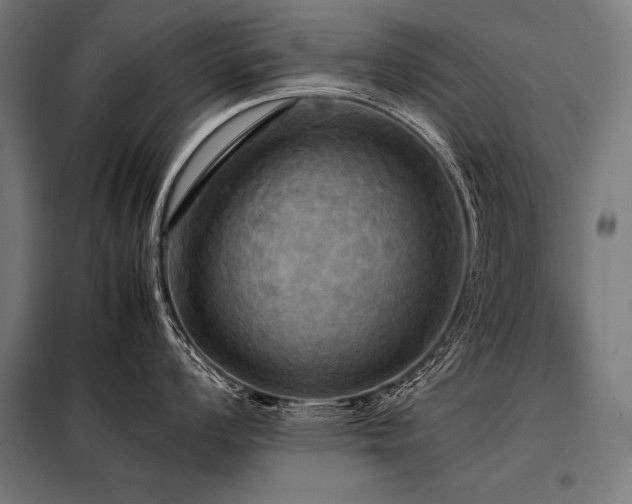X0000098191008200804241240