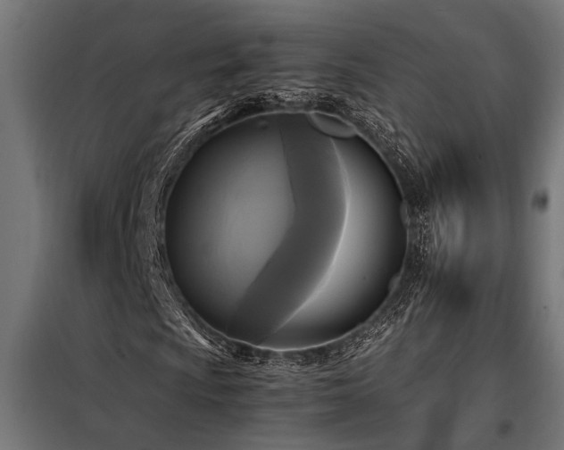 X0000098191009200804241239