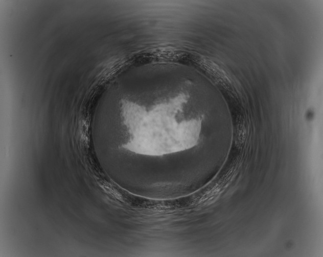 X0000098191010200804241239