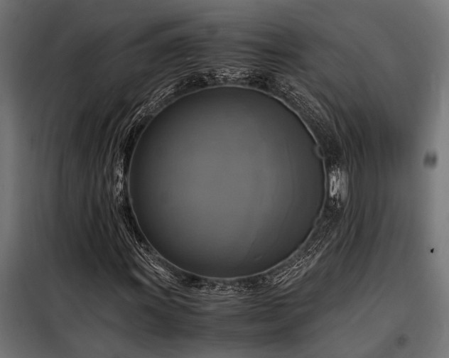 X0000098191011200804241239