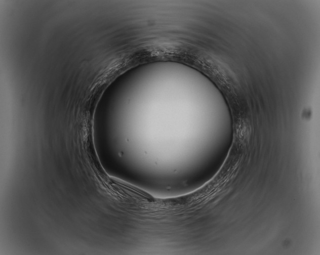 X0000098191012200804241239