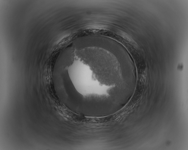 X0000098191014200804241239