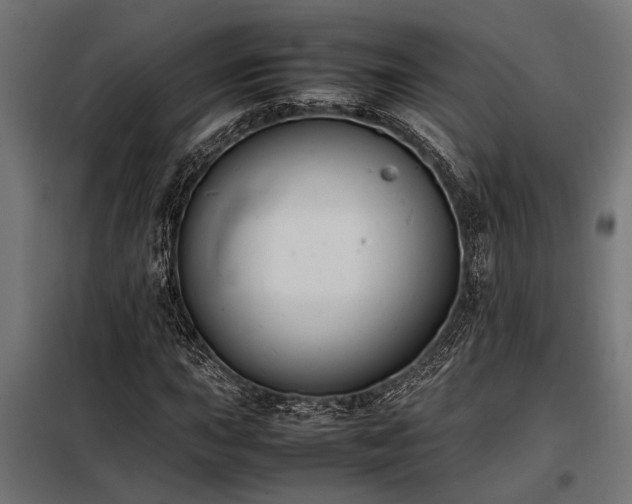 X0000098191015200804241239