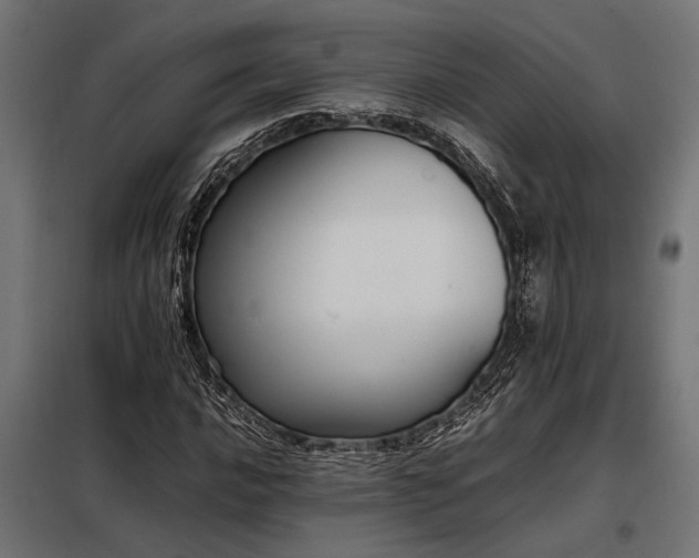 X0000098191016200804241239