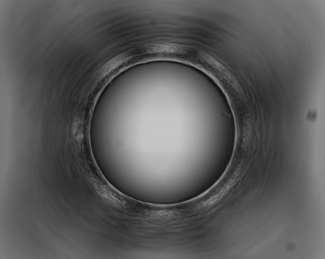 X0000098191017200804241239