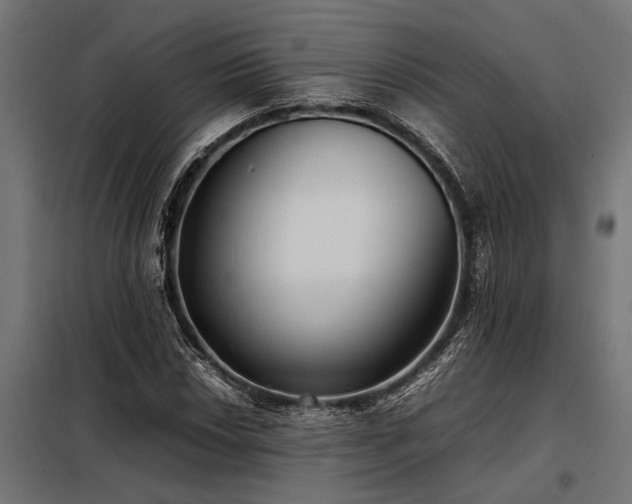X0000098191018200804241239