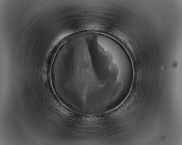 X0000098191019200804241239