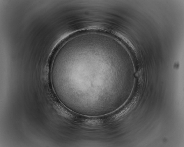 X0000098191021200804241239