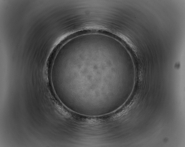 X0000098191022200804241239