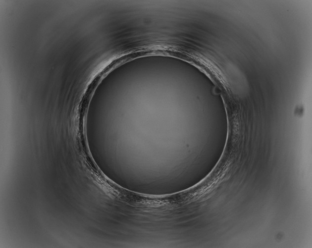 X0000098191023200804241239