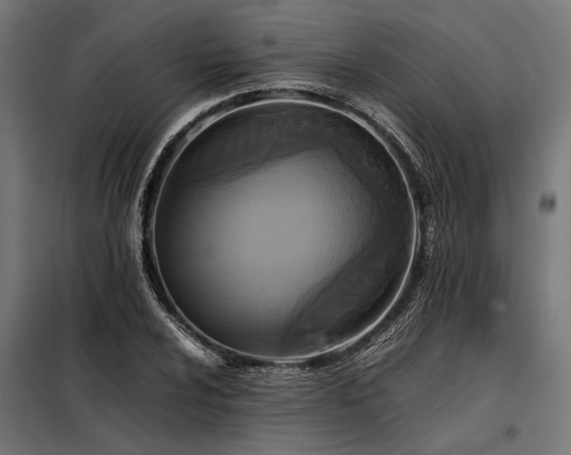 X0000098191024200804241239