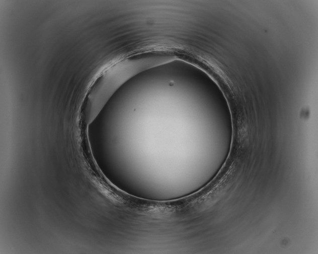 X0000098191026200804241239