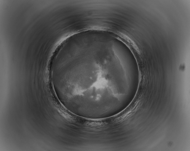 X0000098191027200804241239