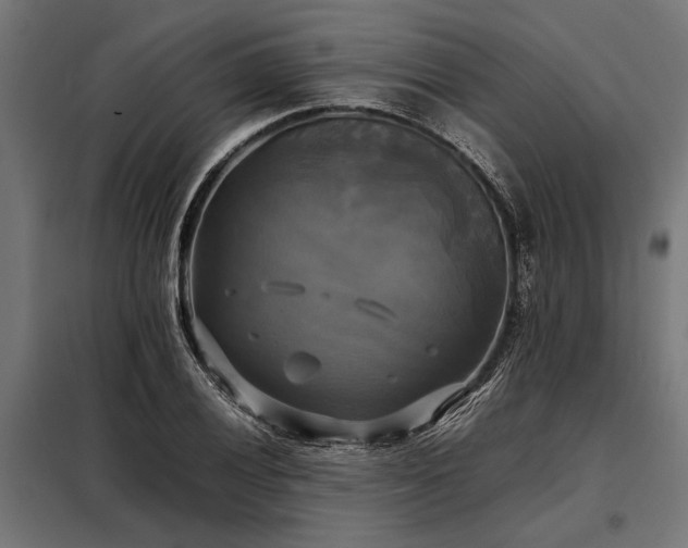 X0000098191028200804241239