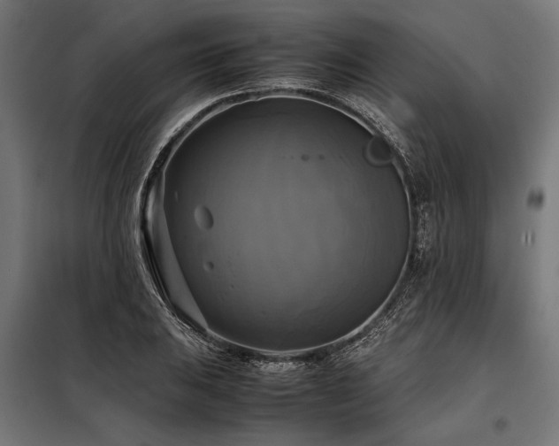 X0000098191031200804241240