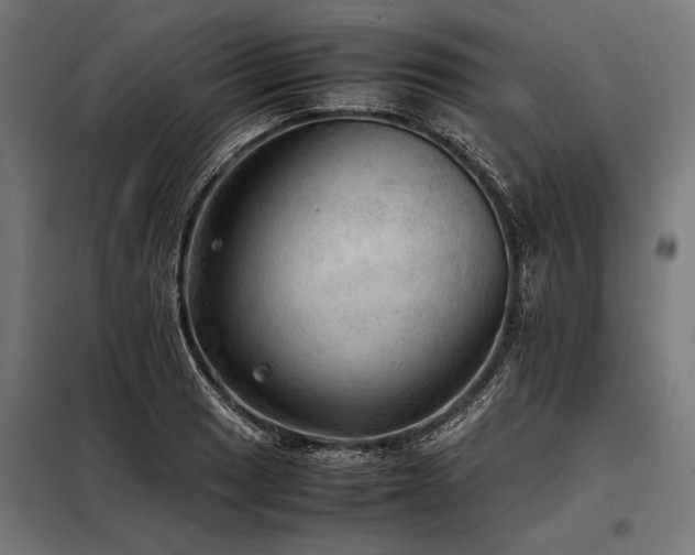X0000098191033200804241240