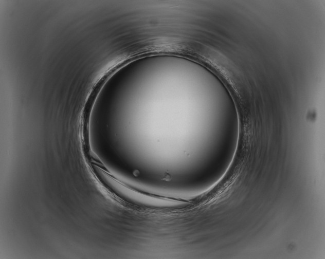 X0000098191034200804241240