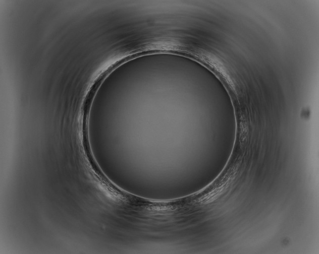 X0000098191035200804241240