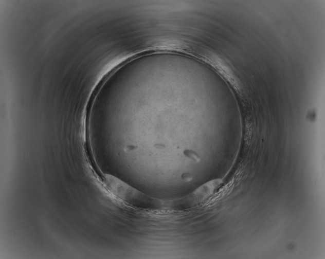 X0000098191036200804241240