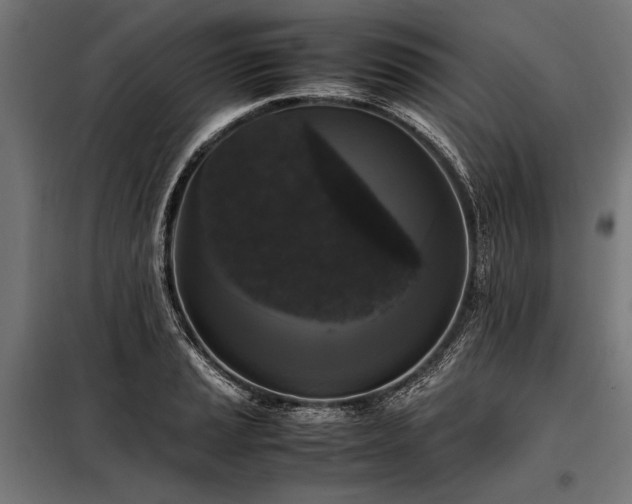 X0000098191037200804241240