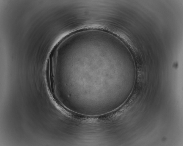 X0000098191038200804241240