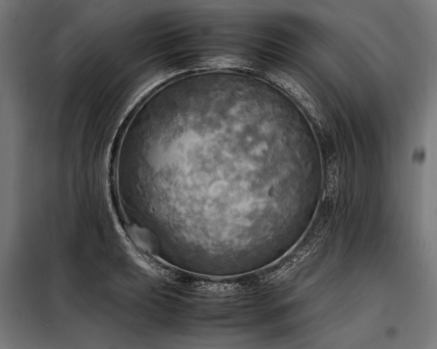 X0000098191039200804241240