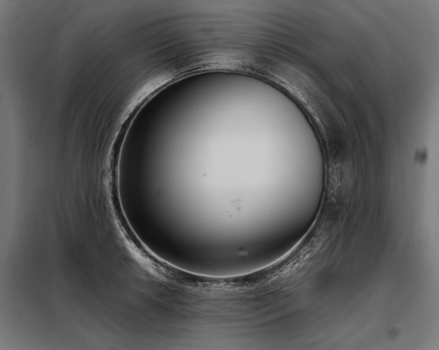 X0000098191042200804241240