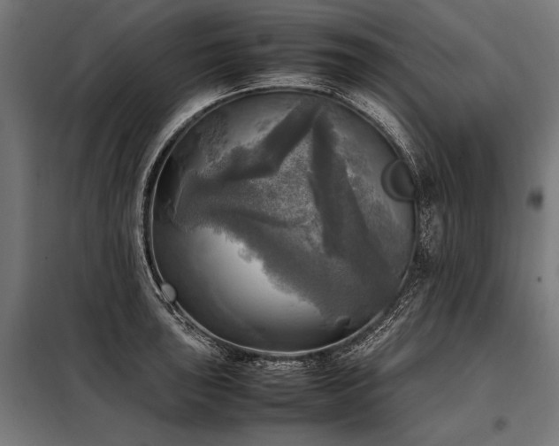 X0000098191043200804241240