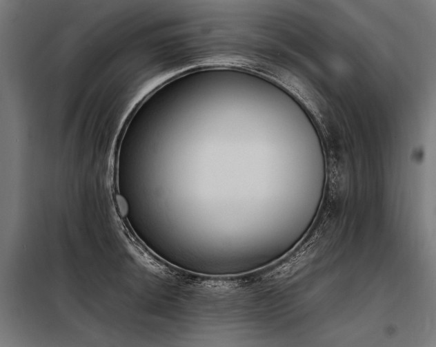 X0000098191044200804241240