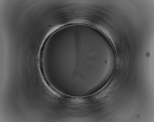 X0000098191045200804241240