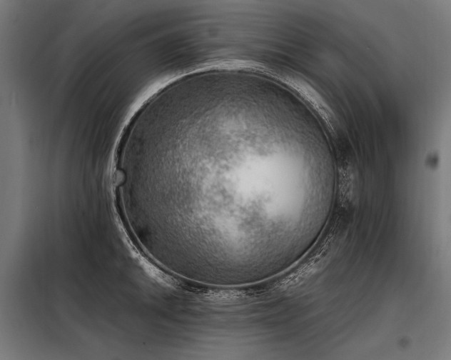 X0000098191046200804241240