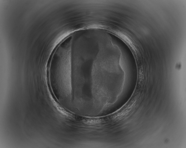 X0000098191047200804241240