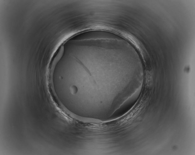 X0000098191048200804241240
