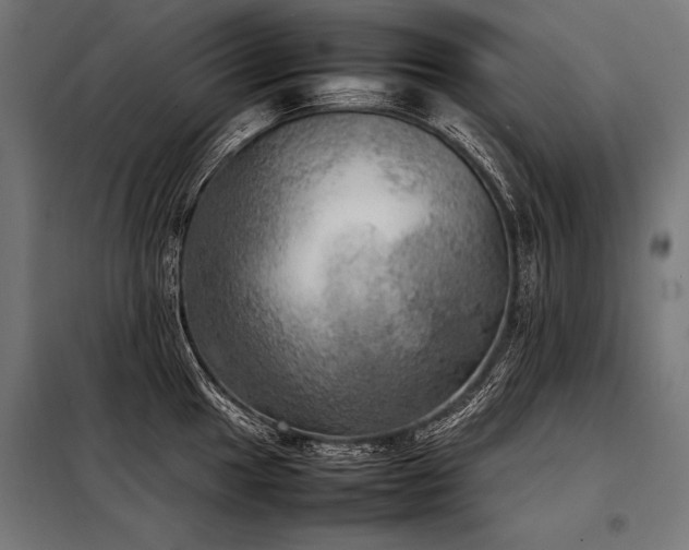 X0000098191049200804241240