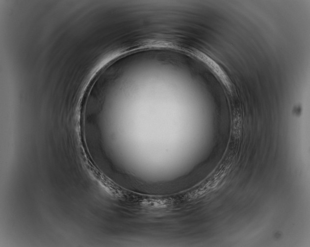 X0000098191051200804241240