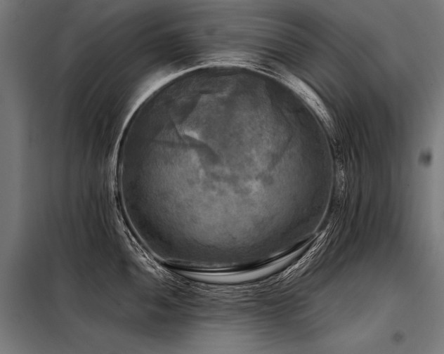 X0000098191052200804241240
