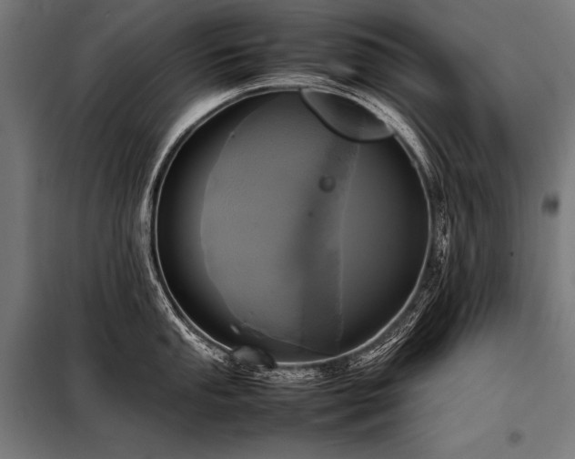 X0000098191053200804241240