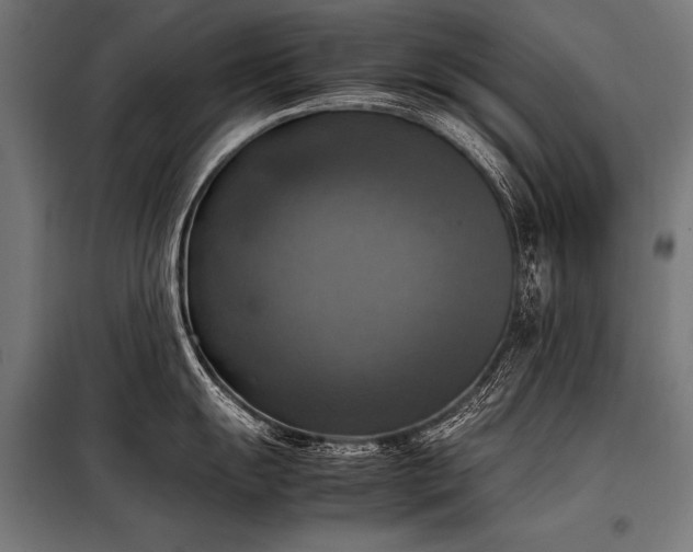 X0000098191055200804241240