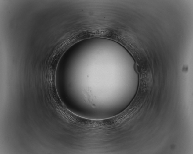 X0000098191058200804241239