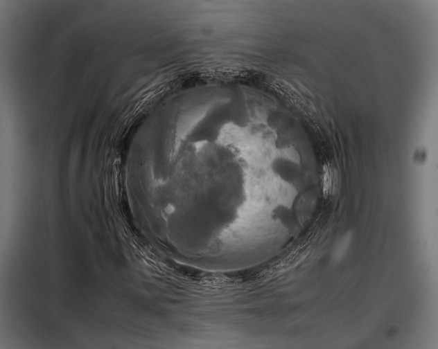 X0000098191059200804241239