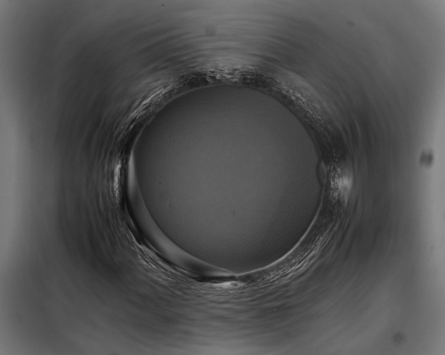 X0000098191060200804241239
