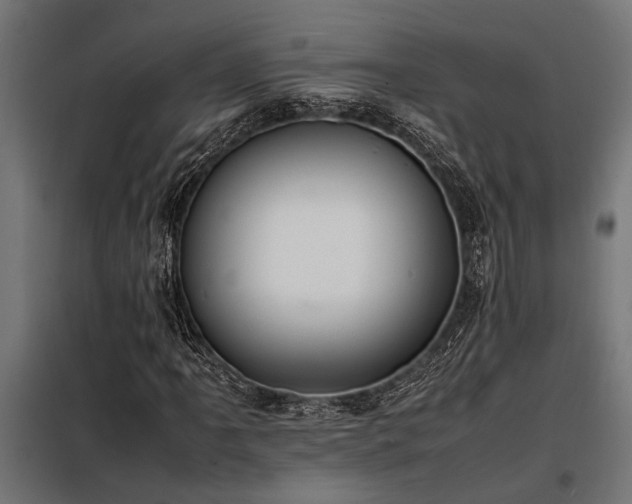 X0000098191061200804241239