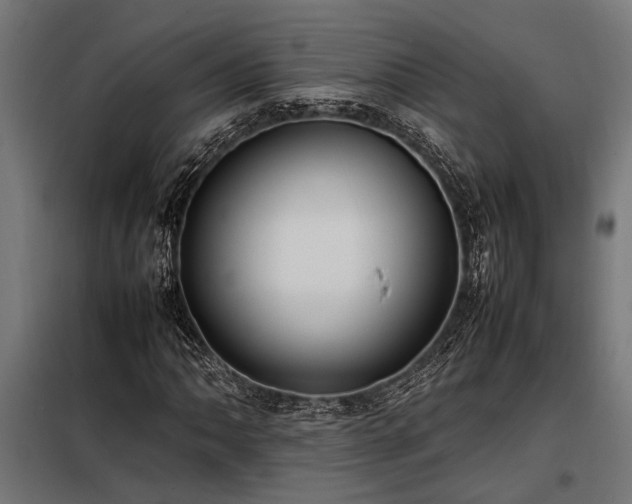 X0000098191062200804241239