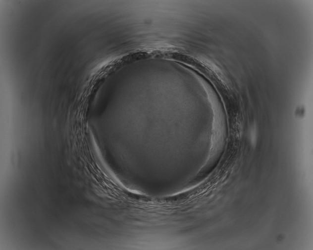 X0000098191063200804241239