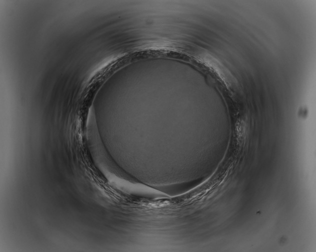X0000098191064200804241239