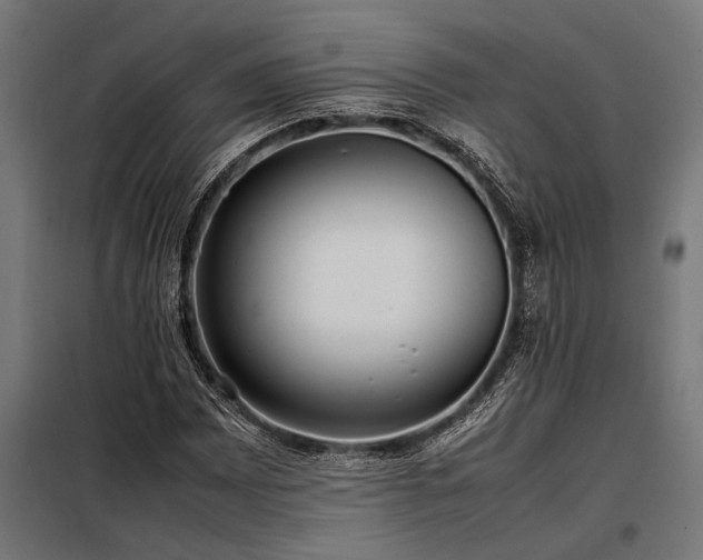 X0000098191065200804241239