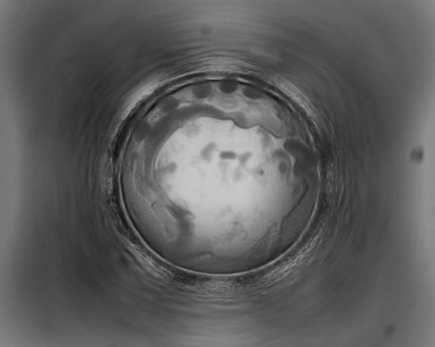X0000098191067200804241239