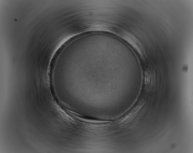 X0000098191068200804241239